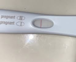 dye stealer pregnancy test twins